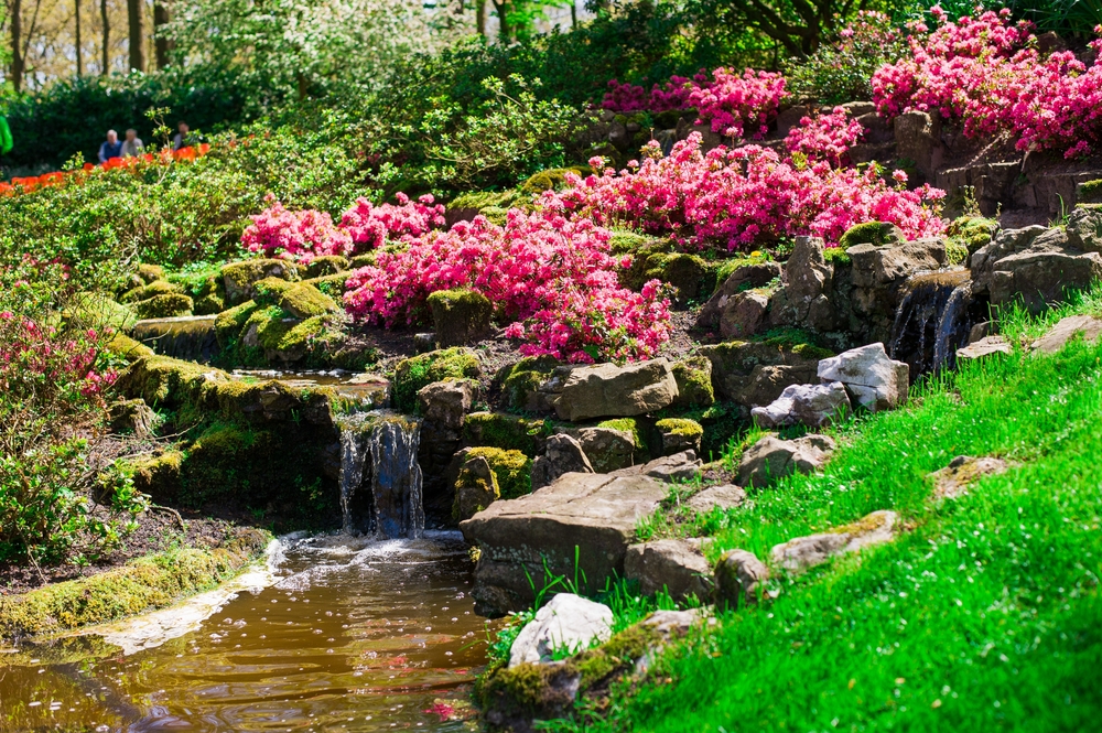 Professionelle Gartengestaltung